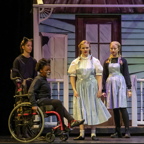 The Penguin Project's production of Wizard Of Oz Young Performers Edition in 2019